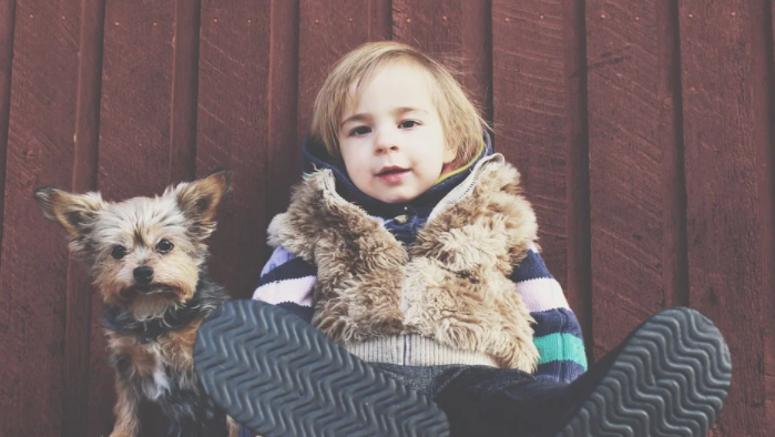 Simple Tips for Choosing a Dog Pet for Your Child