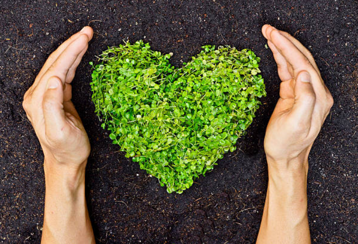 Six Lifestyle Changes to Protect the Environment