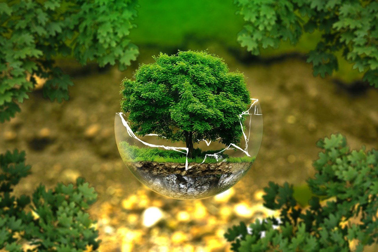 Reasons to Learn More About the Environment