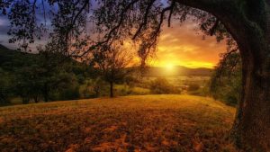 sun